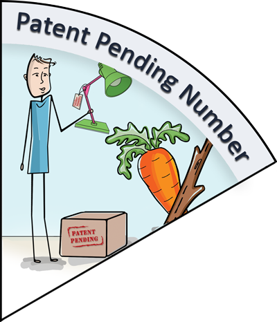 Iptica Patent Pending Number